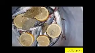 طريقة تحضير لتو  ن   من🐟سمك الكبيلةكتجي بنينة احسن من الجاهز