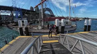 Sydney Harbour Tall Ships lunch cruise
