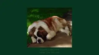 《𝐈𝐬𝐚𝐢𝐚𝐡 𝐒𝐡𝐞𝐟𝐟𝐢𝐞𝐥𝐝 - 𝐂𝐨𝐰𝐩𝐨𝐤𝐞》Ｓｌｏｗｅｄ