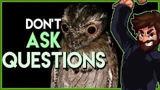 Top 10 Birds in Video Games - Judge Mathas