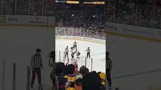 Dylan McIlrath and Jeffrey Viel go at it. #nhlfight
