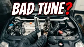 Зачем Honda Civic Fn2 Type R так нужна была эта карта?