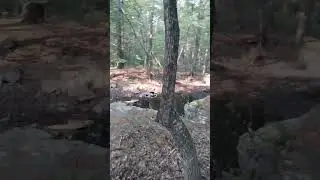 Hidden Quarry at Welcome Woods &ndash; Secret Hiking Spot in Rhode Island