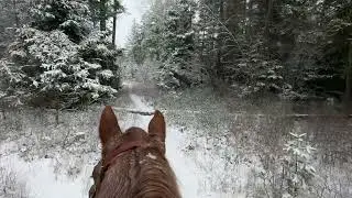 A Peaceful Winter Ride in the Woods | Snow on the Trail