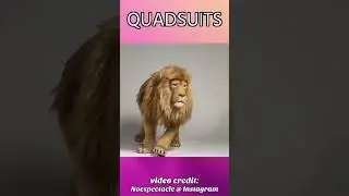 Редчайшие фурсьюты