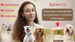 Законови изисквания за кучетата и котките в България / Микрочип / Регистрация и ваксини
