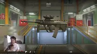 CS2 SKIN REVIEW