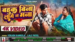 बहुक बिना लागे न मना || Bahuk Bina Laage Na Mana || Vikash Rangila & Lali Patel || New  Song 2025