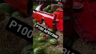 ОЧЕНЬ ДАВНО ИСКАЛ ИСКАЛ. И КУПИЛ p100 sierra