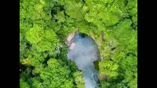 Pantanal : what to do in Bonito - Bonito tours -  Brazil Ecotour