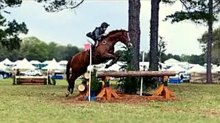 Sharp Decision (CCI 3* - S | 2022 Red Hills International Horse Trials)