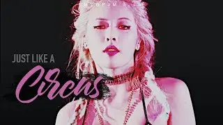 K-POP MULTIFEMALE  | Circus