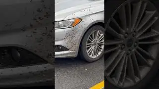 Excuse me, I sharted! #shortsfeed #youtubeshorts #funny #zacrazy #automobile