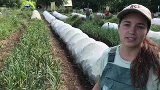 Root Cause Farm AYM 2020
