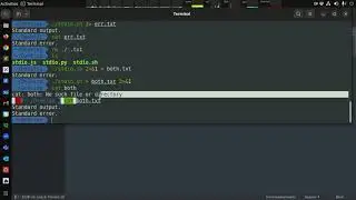 Linux: Standard IO, Exit Codes, and Command Interpolation