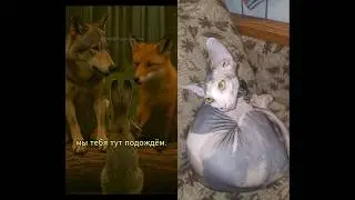 &laquo;Закуска&nbsp;на&nbsp;задании:&nbsp;рейды&nbsp;за&nbsp;выпивкой&nbsp;в&nbsp;Нейролесу&raquo;))) #юмор #веселыекоты #мем #нейросеть #cat #сфин