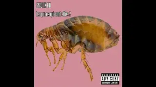 [4/5] Mental Warfare - Sykotik FM (Les Puces Qui Sont Elles?)