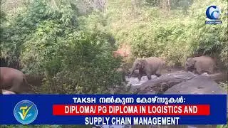 ആനക്കൂട്ടങ്ങളുടെ സാന്നിധ്യത്തില്&zwj; പൊറുതി മുട്ടി പിണവൂര്&zwj;കുടി നിവാസികള്&zwj;