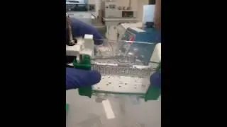 Biorad Precast TGX Protein Gel Part 1: taking cassette apart.