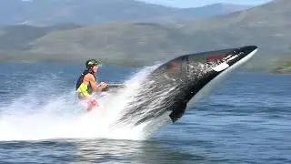 The Seabreacher - Creating the Famous Dolphin-Shaped Boats