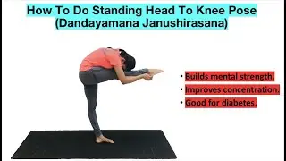 How To Do Standing Head To Knee Pose (Dandayamana Janushirasana)  | Unique Yoga With Paramita