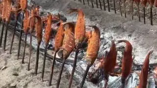 SFV Krems Steckerlfische 2016