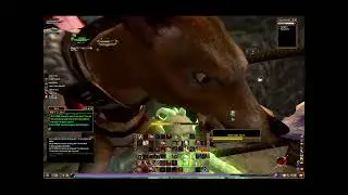 Blackburrow Snakes, Stormhold Scions & Heritage Quest Updates Duo! | EverQuest 2 Origins Server