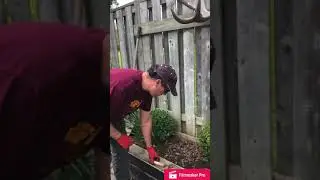 L6: Life Skills: Seasonal Chores - Planting flowers in a Garden