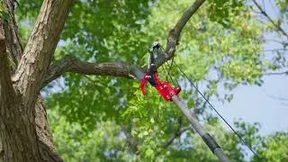 Suchtale 10ft Pole Saw, Manual Tree Pruner with Sharp Steel Blade