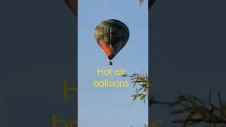 Look Up. #surprise #shorts #fun #nope #hot #balloons #hotairballoon #wow #amazing #awesome