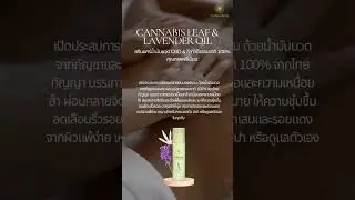 Cannabis CBD & Lavender Massage Oil 100% Natural : สกินแคร์น้ำมันลาเวนเดอร์ระดับพรีเมียม