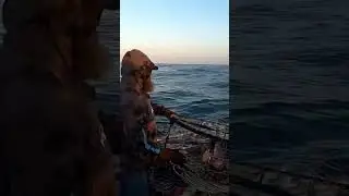 Brad Tossing Crab Pots Off The Umatilla II. #crabbing #newport #oregon #ocean #saltwater #pacific