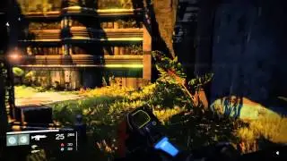 Spirit Bloom and Engram farming route