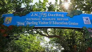 Trek Florida Cycling Staycations:  Ding Darling National Wildlife Refuge