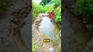 Cari ikan di genangan air hasilnya tak terduga!#shortsvideo
