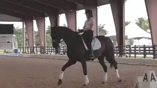 Laura Graves Teaching Canter Haunches In on the Circle