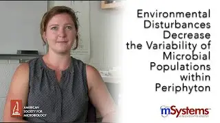 Environmental Disturbances Decrease the Variability of Microbial Populations within Periphyton