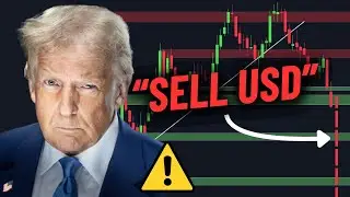 Is the US Dollar about to Crash?
