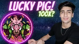 LUCKY PIG TOKEN THE NEXT 100X GEM!!(FUTURE OF CASINO?)PRICE PREDICTION!!