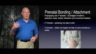 [Course Preview] Neuroscience of Attachment l Arizona Trauma Institute