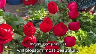 002 Flowers 20012026