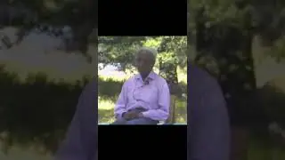 An action that is not self-centred | Krishnamurti #shorts