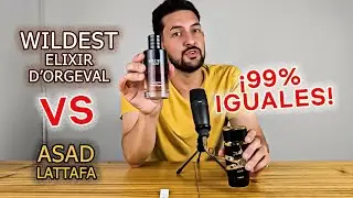 WILDEST ELIXIR vs ASAD: ¡SON IGUALES!