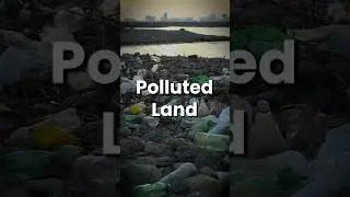 Plastic Pollution is Everyone&rsquo;s Problem #earth #plastic #waste #environment