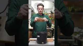 Листы из кокосового волокна находят широкое применение в садоводстве! #комнатныерастения #растения