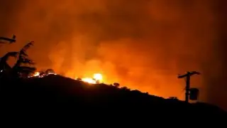 California Wildfire: Fact-Checking Trump&rsquo;s Claims🔥🔥