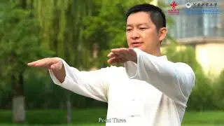 18 form chen taji