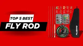Top 5 Best Fly Rod