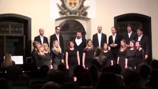SOZVOČENJA 2014 - Dobrovo pri Gori&scaron;kih Brdih, KD GORI&Scaron;KI KOMORNI ZBOR, NOVA GORICA, Fancies
