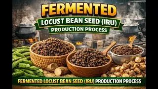 FERMENTED LOCUS BEAN SEED (IRU) PRODUCTION PROCESS
